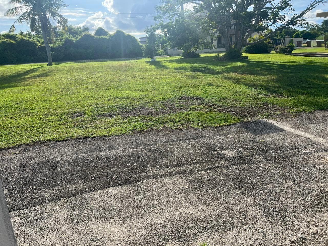 Yard