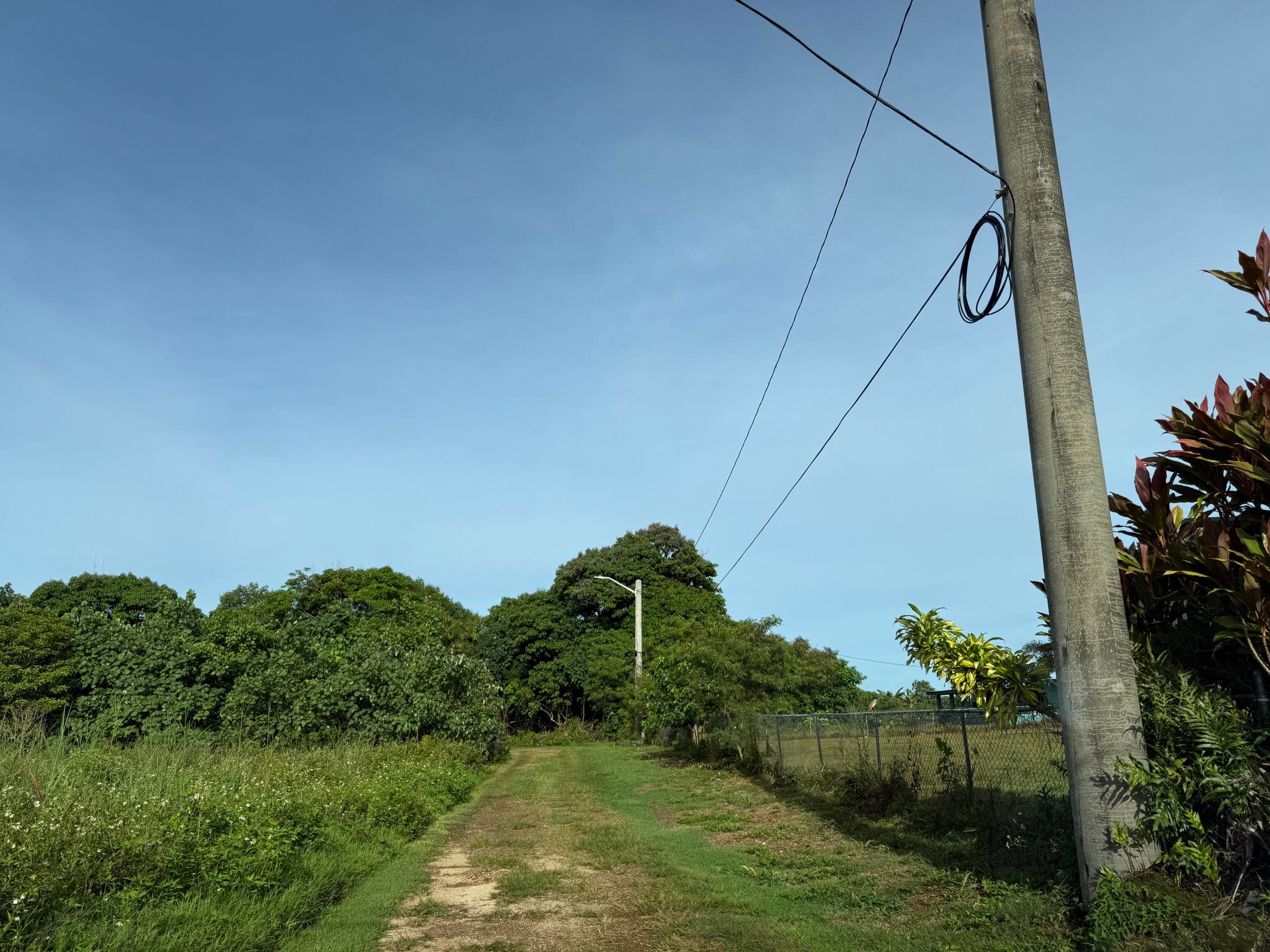 Driveway in